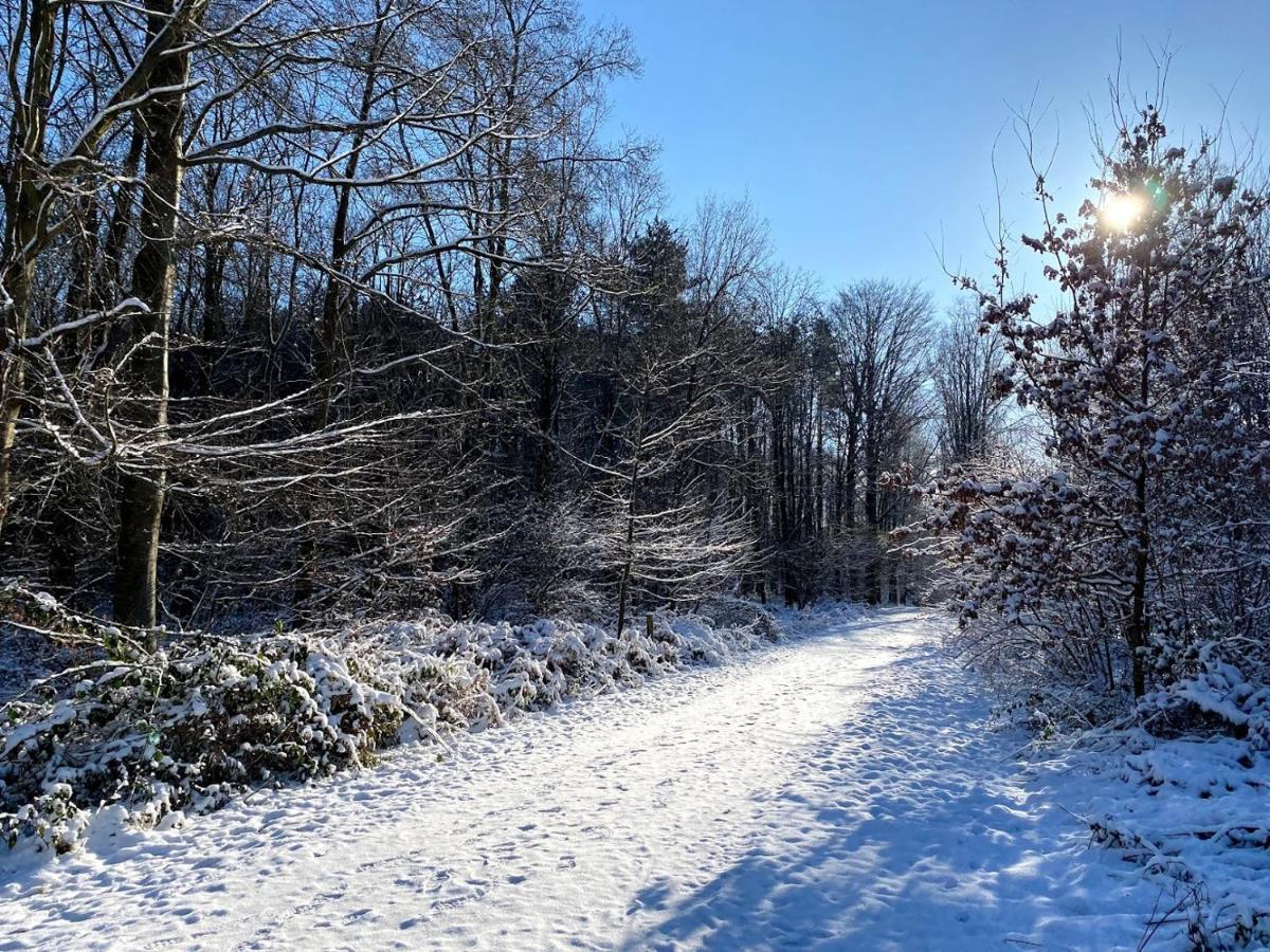 Vakantiewoning Hakuna Matata Geraardsbergen Exteriér fotografie