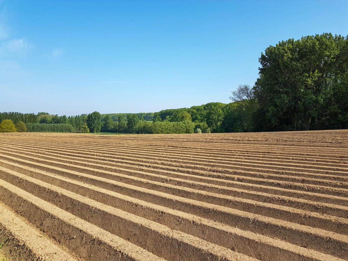 Vakantiewoning Hakuna Matata Geraardsbergen Exteriér fotografie