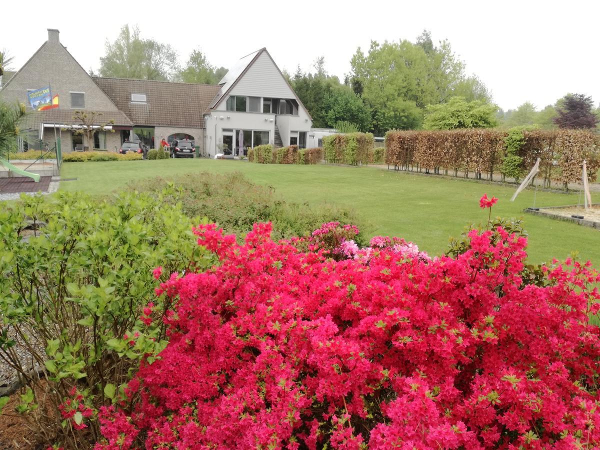 Vakantiewoning Hakuna Matata Geraardsbergen Exteriér fotografie